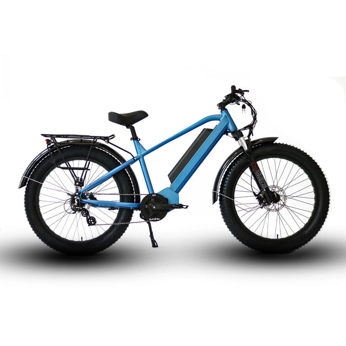 Eunorau FAT-HD 48V 1000W All Terrain Fat Tire Electric Mountain Bike