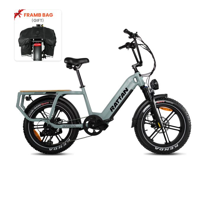 Rattan Quercus Fat Tire Electric Bike RCG