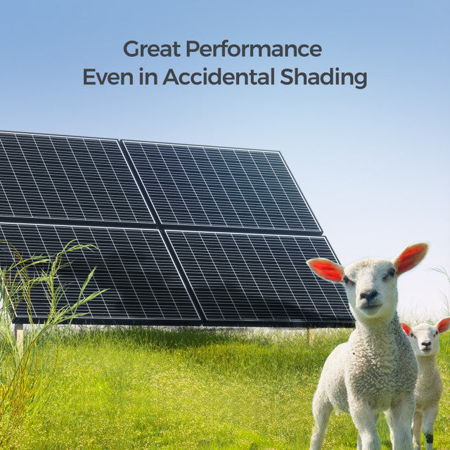 Renogy 4PCS 320 Watt Rigid Monocrystalline Solar Panel