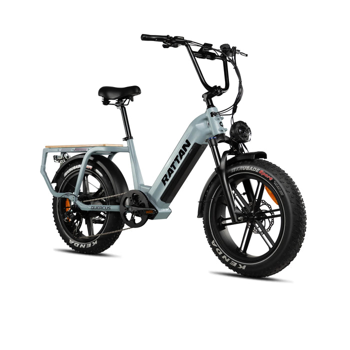 Rattan Quercus Fat Tire Electric Bike RCG