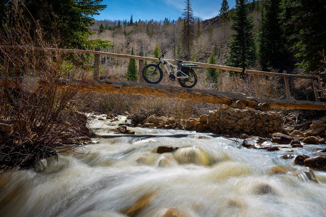 Bakcou Storm 1000W Full Suspension Powerful Fat Tire Electric Bike