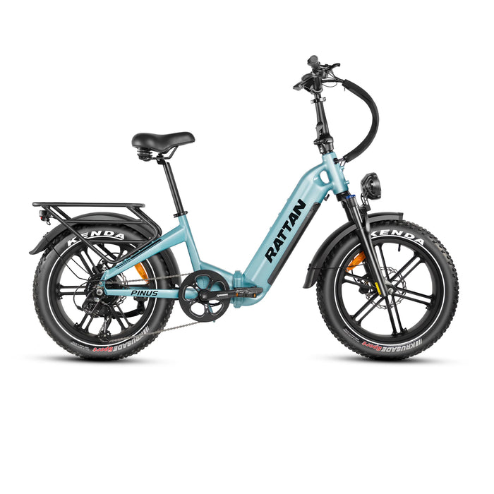 Rattan Pinus 48V 750W/1200W Fat Tire Electric Bike