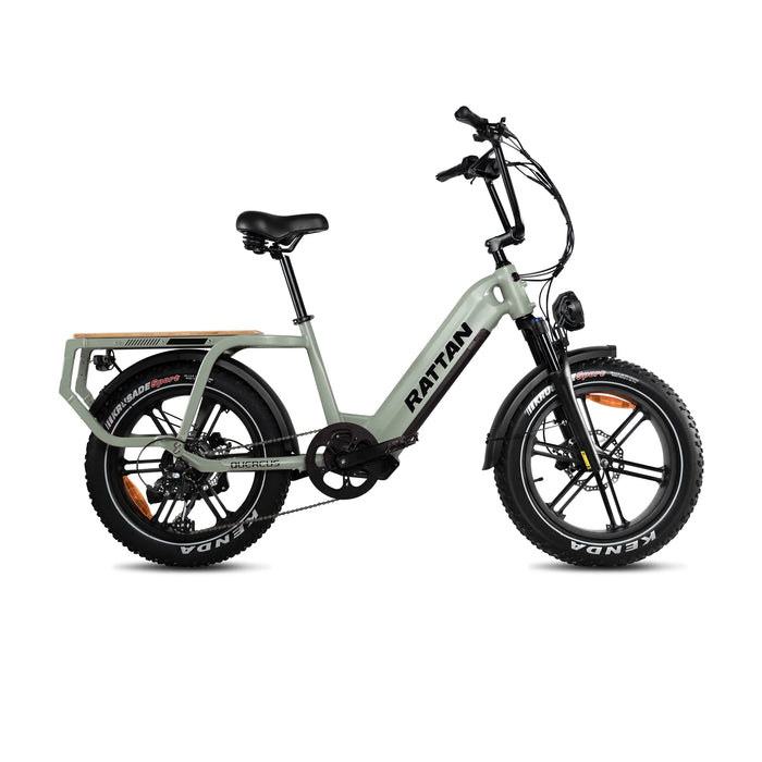 Rattan Quercus Fat Tire Electric Bike RCG