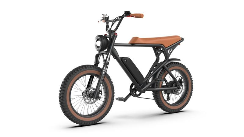 GlareWheel Pro 20" Fat Tire Electric Bike EB-X7PRO