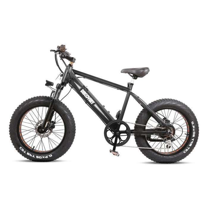 GlareWheel 20" Fat Tire Electric Bike EB-X7