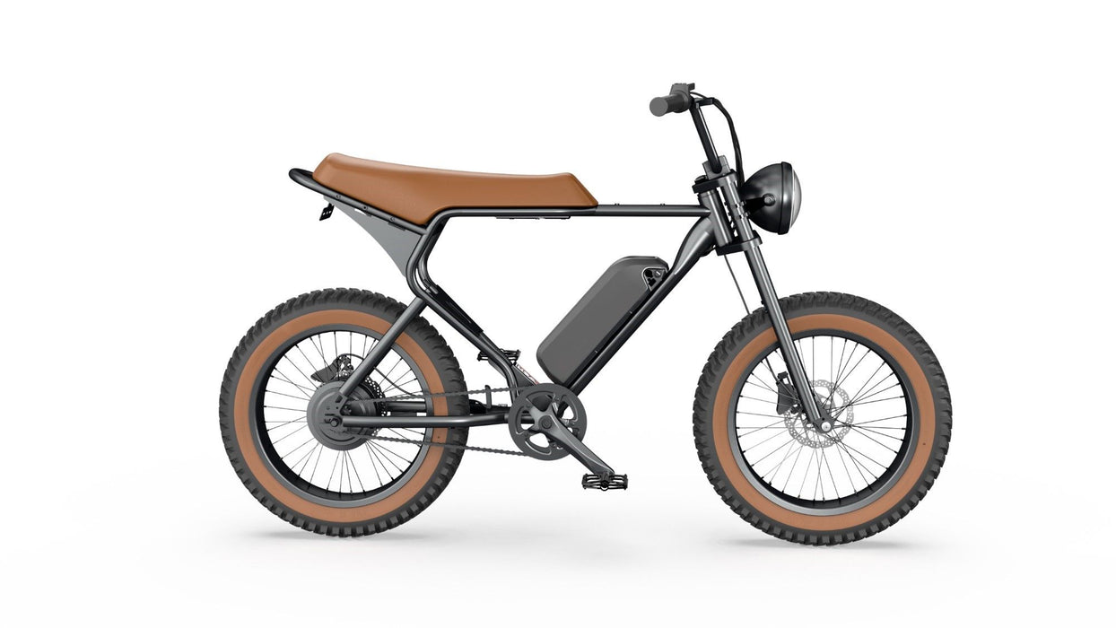 GlareWheel Pro 20" Fat Tire Electric Bike EB-X7PRO