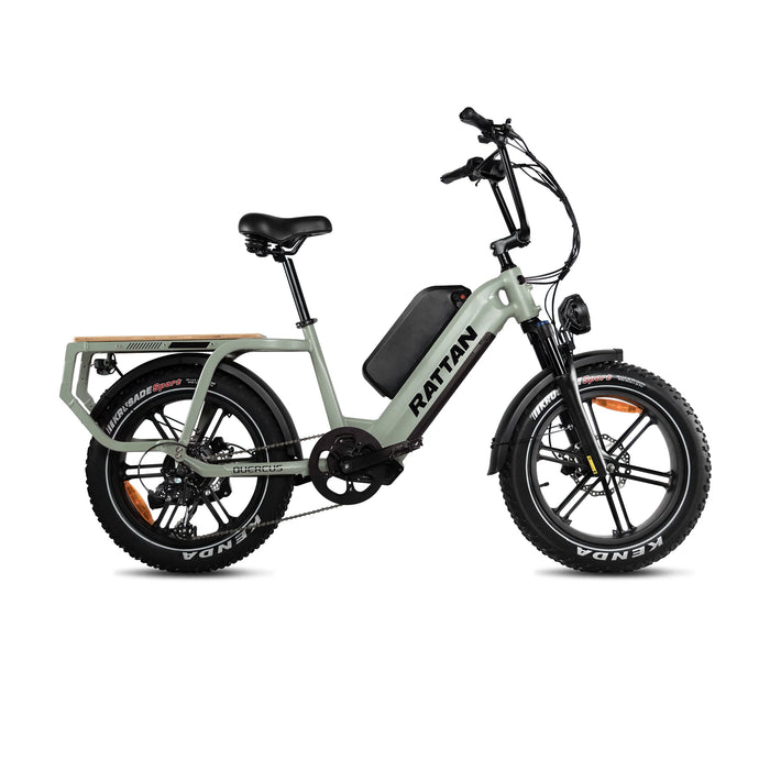 Rattan Quercus Fat Tire Electric Bike RCG