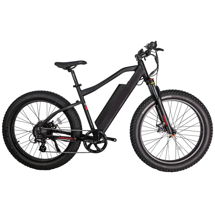 GlareWheel Fat Tire Electric Mountain Bike EB-PR