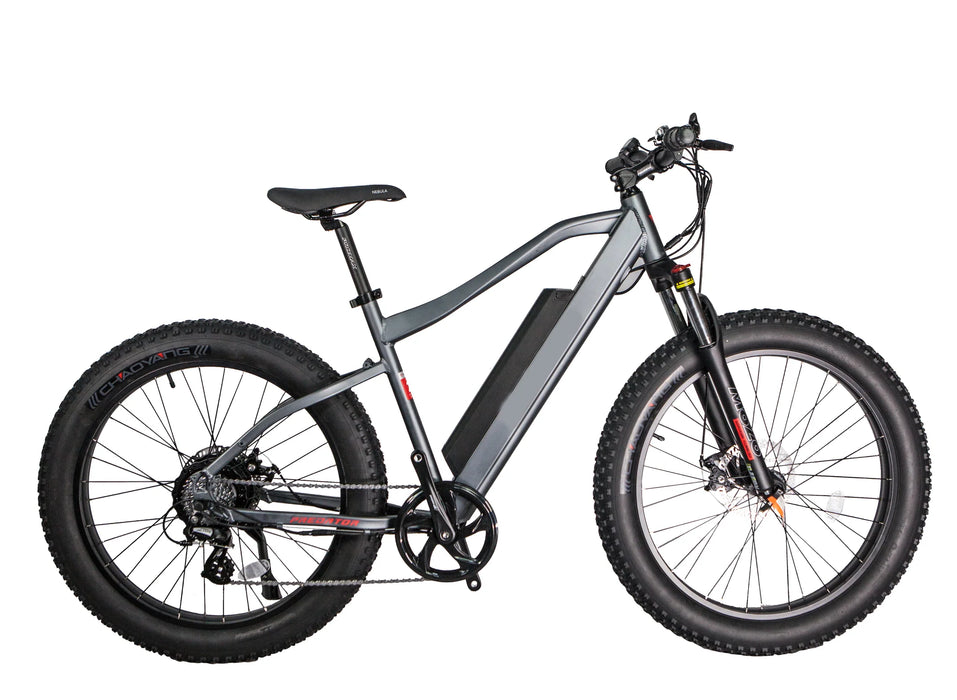 GlareWheel Fat Tire Electric Mountain Bike EB-PR