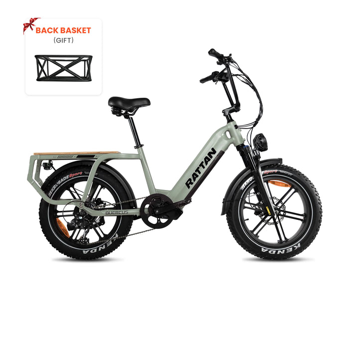 Rattan Quercus Fat Tire Electric Bike RCG