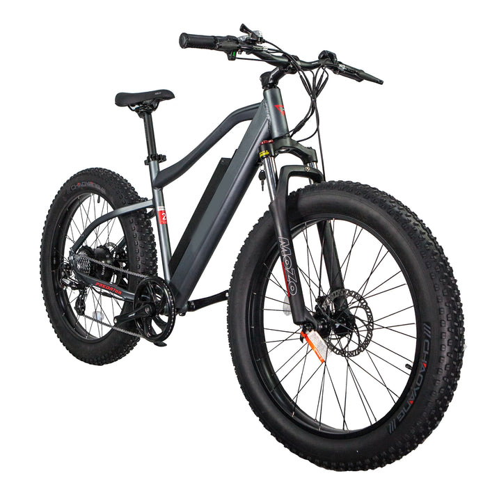 GlareWheel Fat Tire Electric Mountain Bike EB-PR