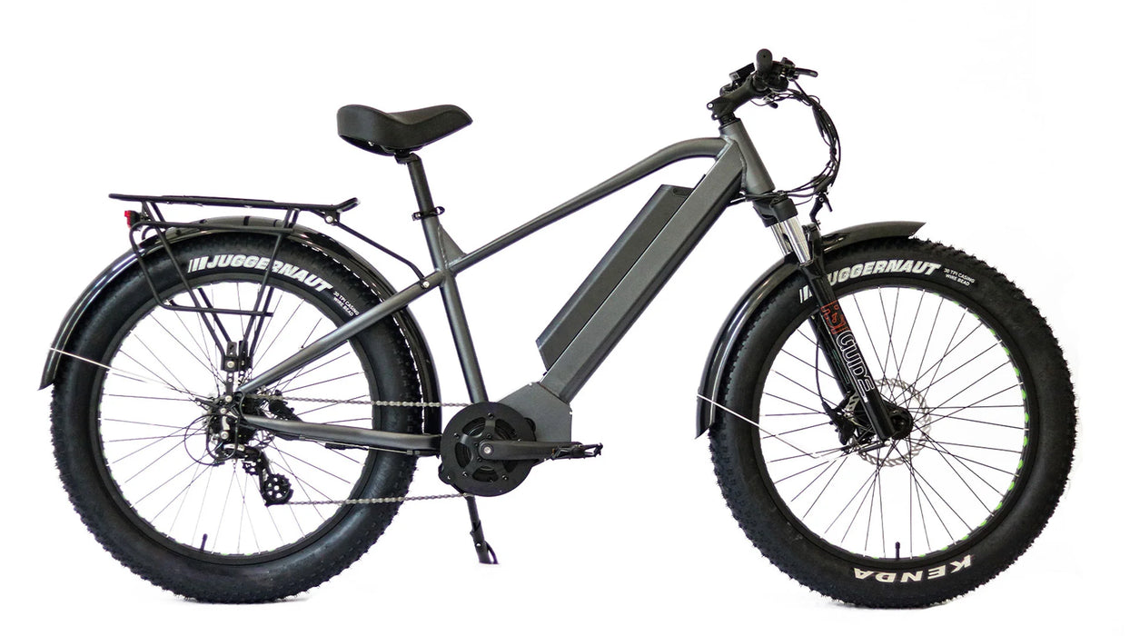 Eunorau FAT-HD 48V 1000W All Terrain Fat Tire Electric Mountain Bike