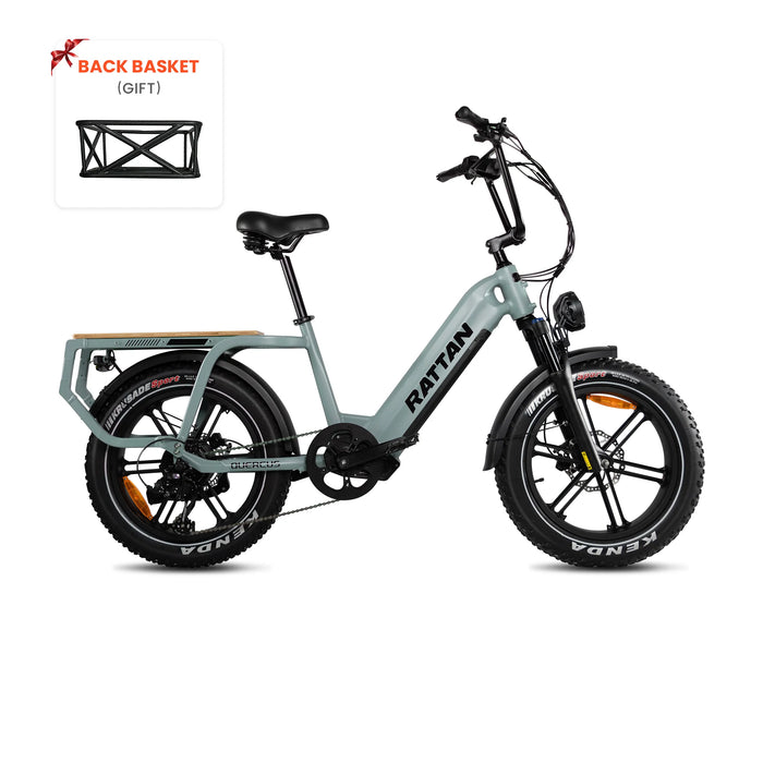 Rattan Quercus Fat Tire Electric Bike RCG