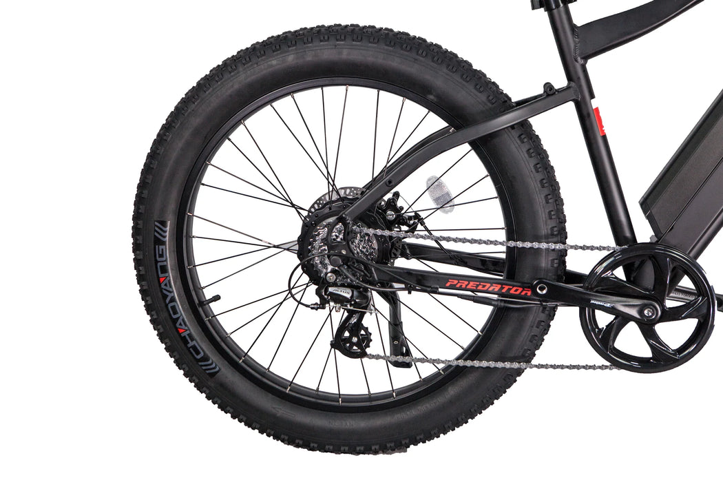 GlareWheel Fat Tire Electric Mountain Bike EB-PR