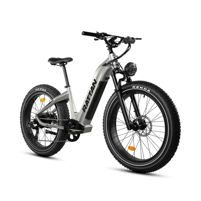 Rattan Sequoia Fat Tire Electric Bike RSQ