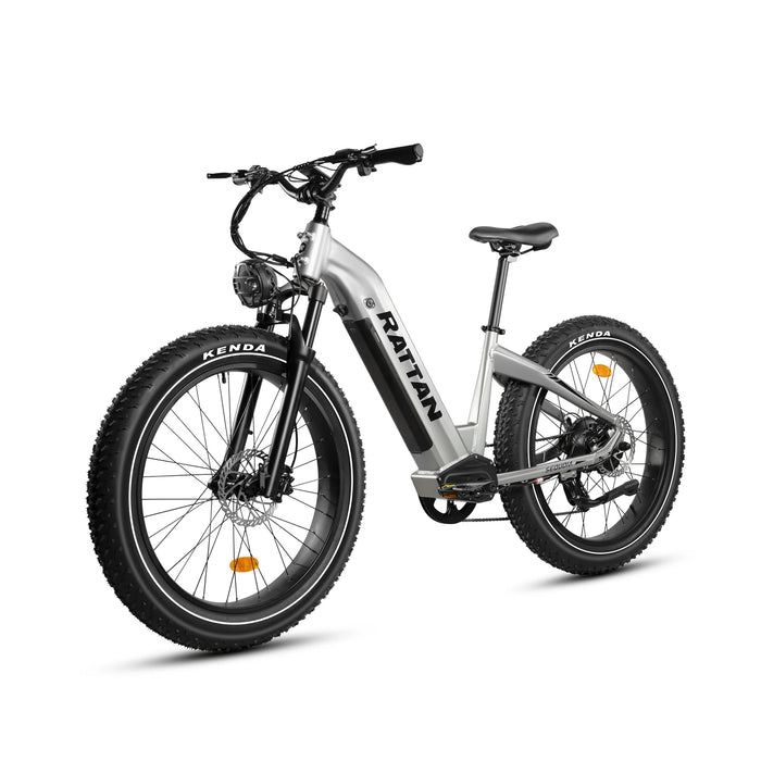 Rattan Sequoia Fat Tire Electric Bike RSQ