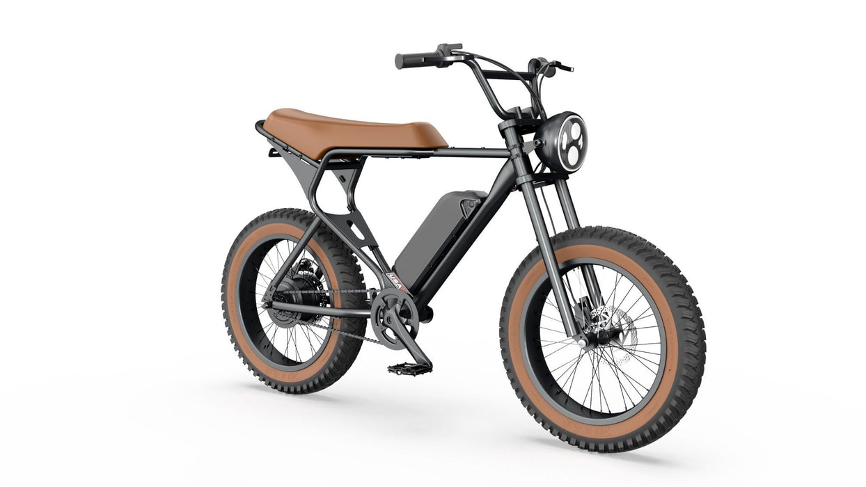 GlareWheel Pro 20" Fat Tire Electric Bike EB-X7PRO