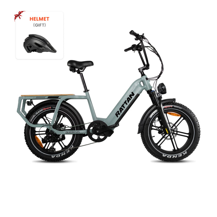 Rattan Quercus Fat Tire Electric Bike RCG