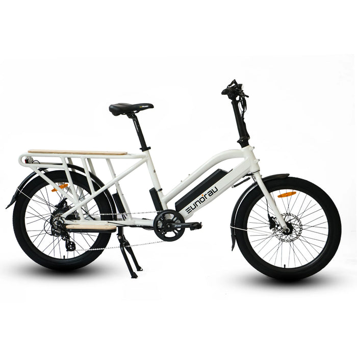 Eunorau MAX-CARGO 2.0 24' Wheel 48V 750W Long Trail Cargo Electric Bike