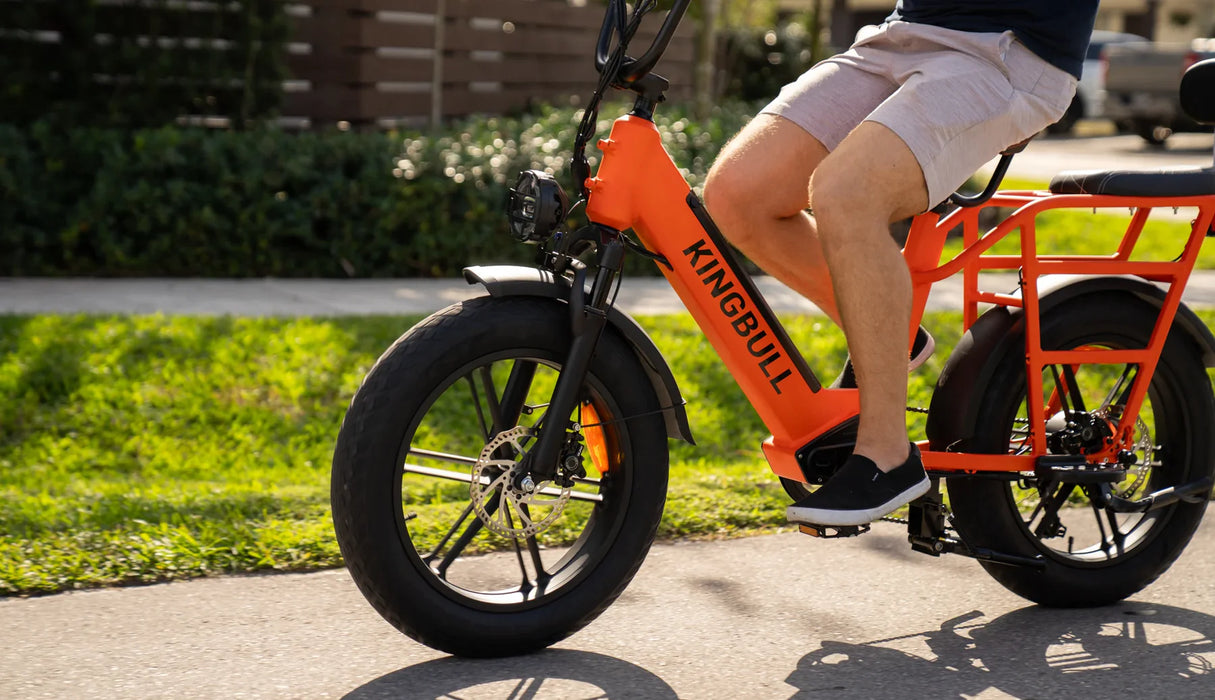 Kingbull Voyager Cargo Electric Bike